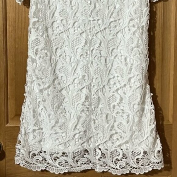 Gray + Bleu White Lace Sheath Mini Dress with Crew Neck and Short Sleeves Large - Picture 6 of 10